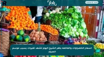 أسعار الخضراوات والفاكهة بكفر الشيخ اليوم تشهد تغيرات بسبب موسم الصيف
